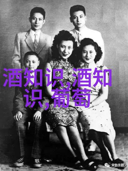 精酿啤酒通常有哪些常见的风味和类型