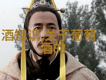 未喝完的红酒如何保存开封后的红酒能存放多久