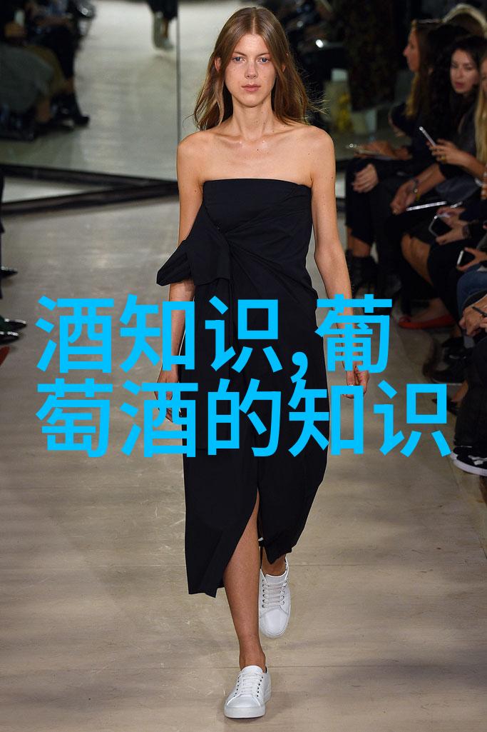 进口啤酒与国产啤酒在口感和品质上有何不同有哪些经典的进口啤酒推荐