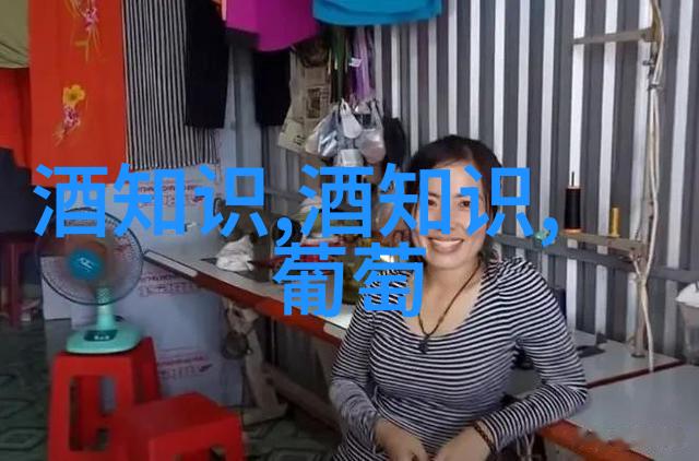 精酿啤酒推荐有哪些值得一试的小众精酿啤酒品牌