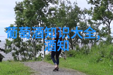 中国葡萄酒与法国葡萄酒相比各有哪些优势和特色